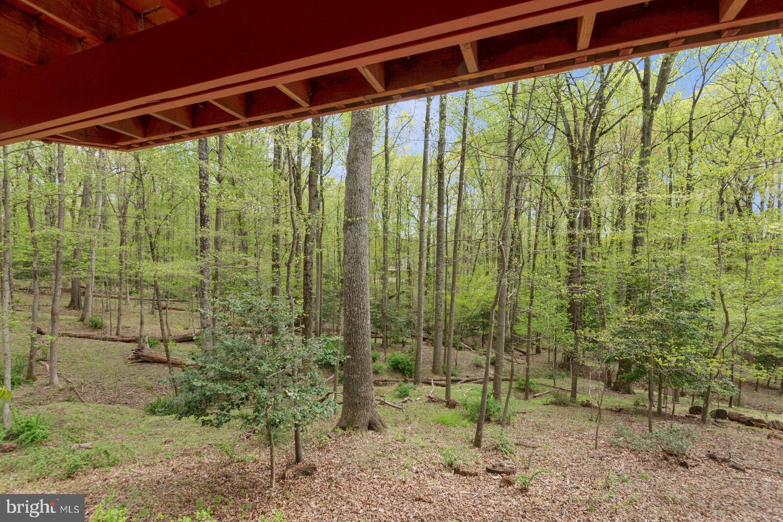 10431 Lawyers Road Vienna, VA 22181 - Photo 43 of 53 Gallery Image 43