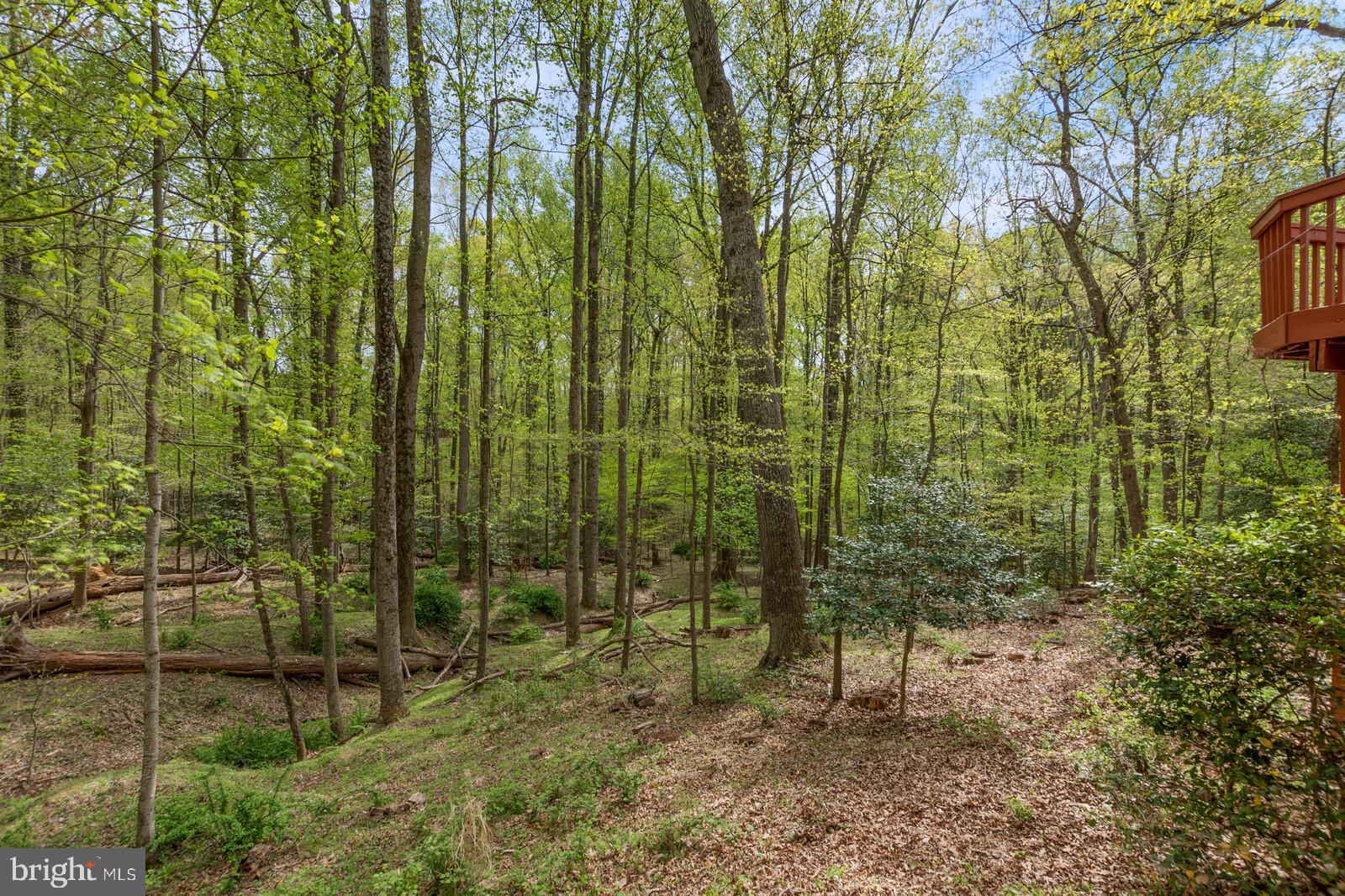 10431 Lawyers Road Vienna, VA 22181 - Photo 44 of 53 Gallery Image 44