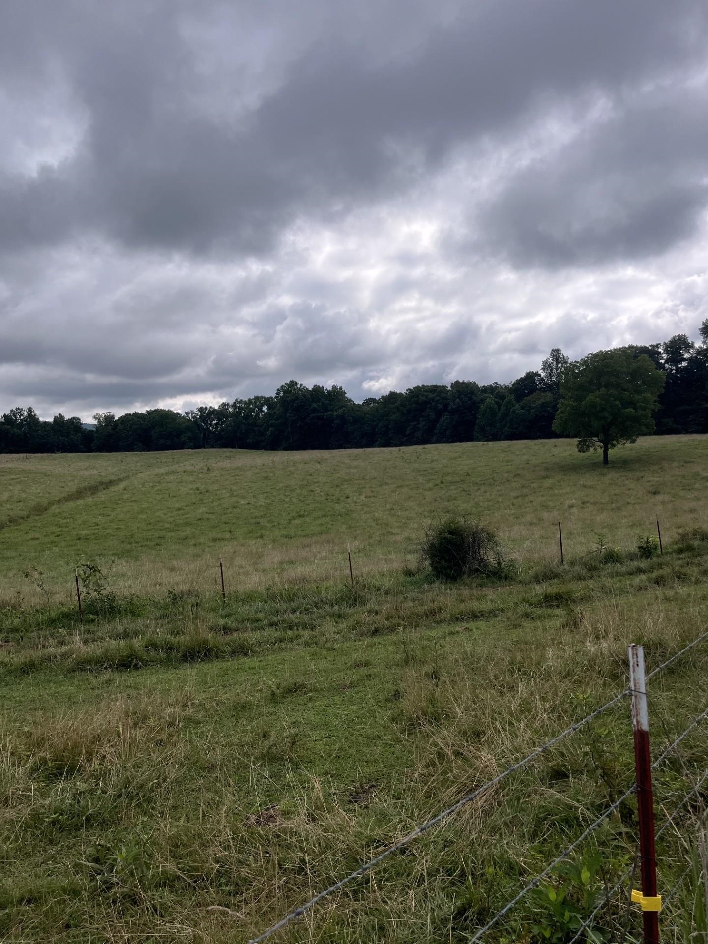 899 East L Smith Road Monroe, TN 38573 - Photo 5 of 18