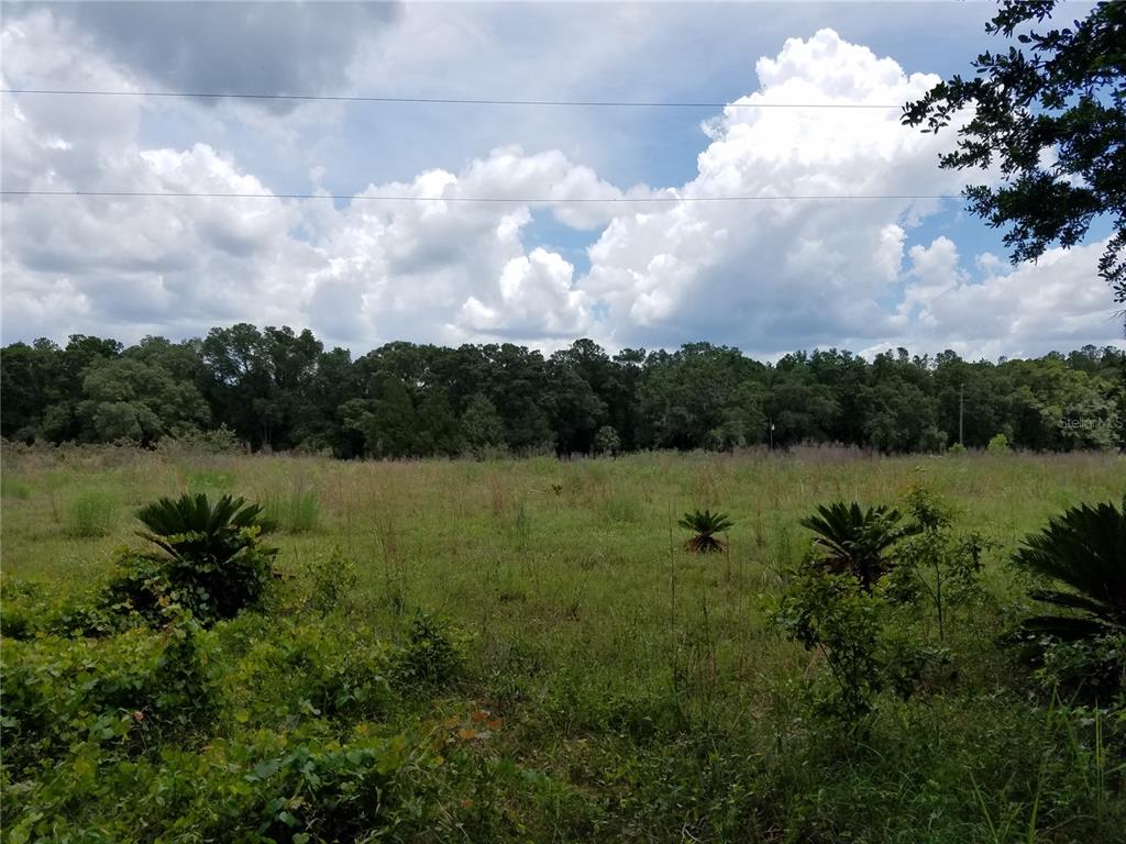 242 Southwest A Sw County Rd Lake Lake City, FL 32055 - Photo 2 of 6