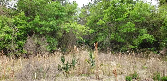 $200,000 | 242 Southwest A Sw County Rd Lake, Lake City, FL 32055