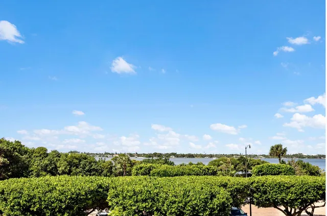 a view of a balcony with two plants and a yard with plants