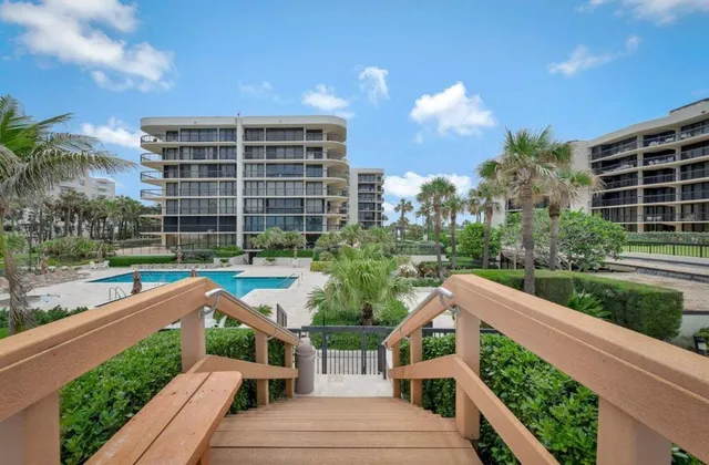 a view of a yard with plants