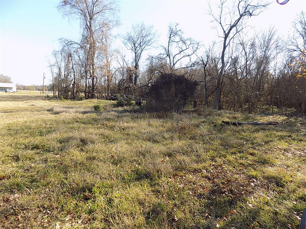Tbd F M Tbd F M 514th Point Point, TX 75472 - Photo 11 of 29 a view of a yard with a tree
