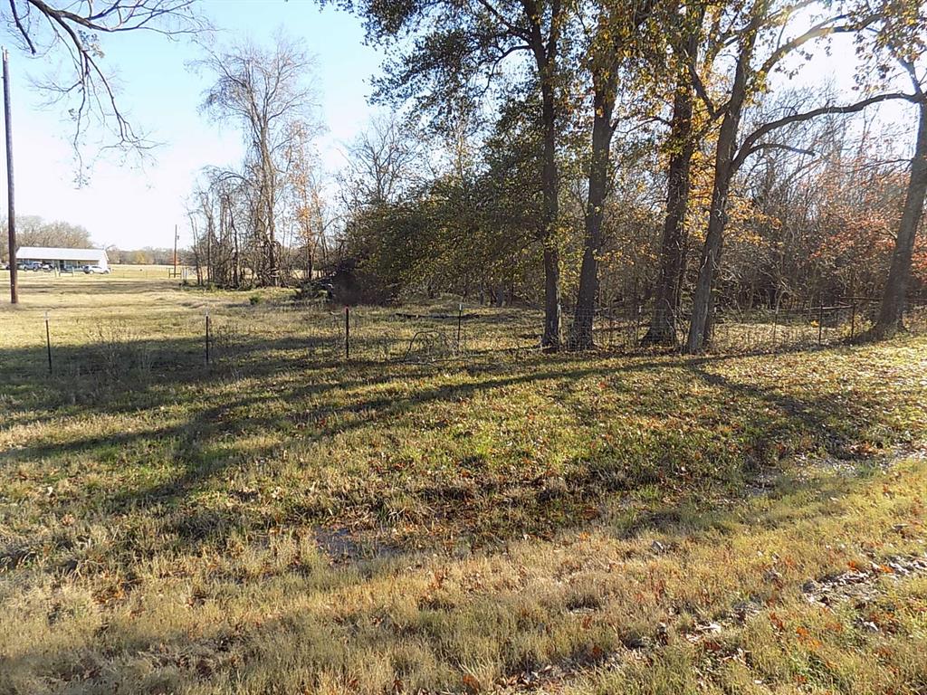 Tbd F M Tbd F M 514th Point Point, TX 75472 - Photo 12 of 29 a view of a yard with large trees