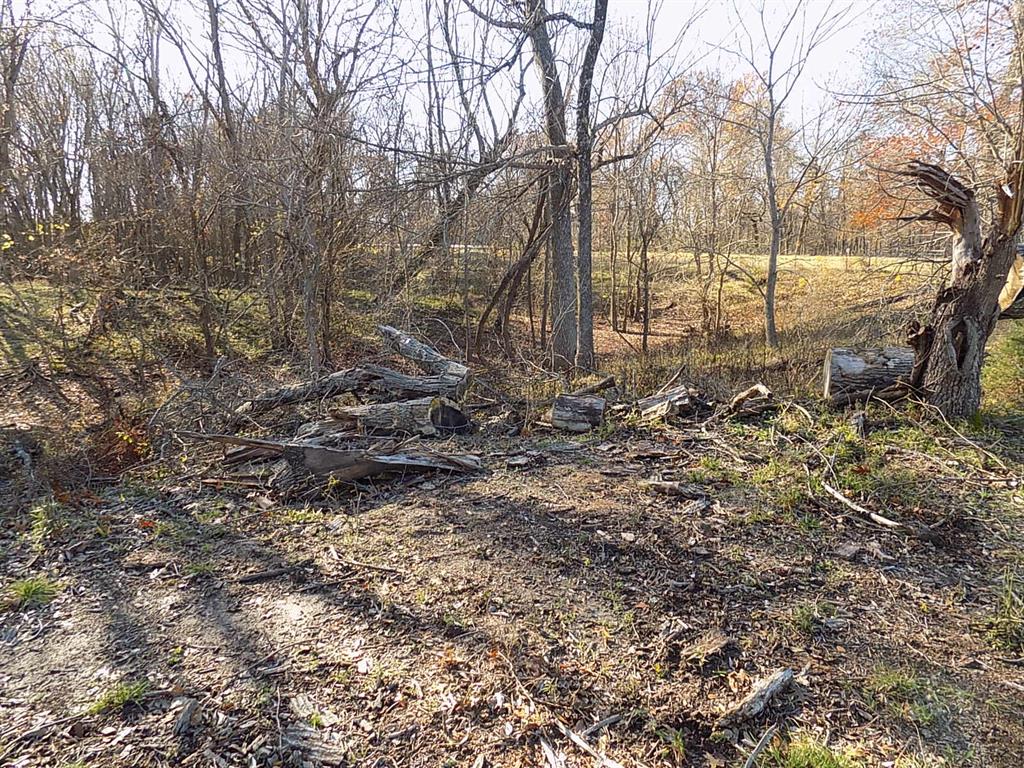 Tbd F M Tbd F M 514th Point Point, TX 75472 - Photo 14 of 29 a view of a backyard of the house