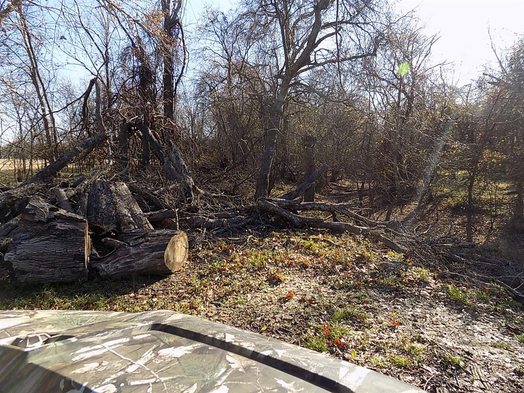 Tbd F M Tbd F M 514th Point Point, TX 75472 - Photo 15 of 29 a view of a yard with plants