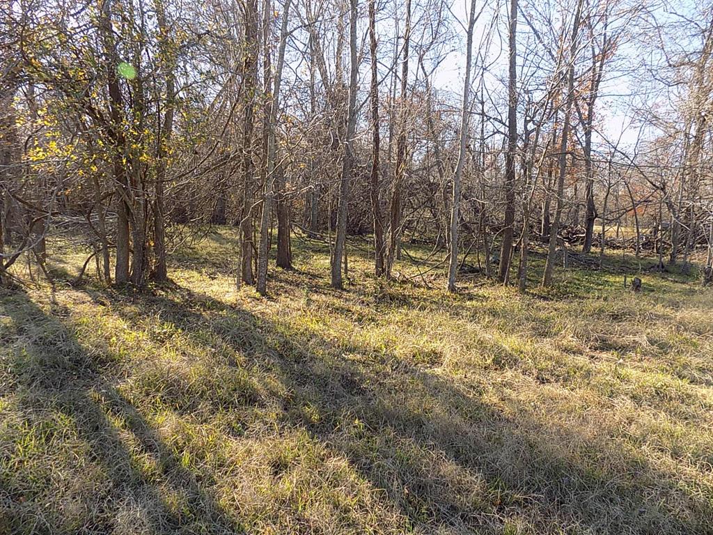Tbd F M Tbd F M 514th Point Point, TX 75472 - Photo 16 of 29 a view of outdoor space with trees
