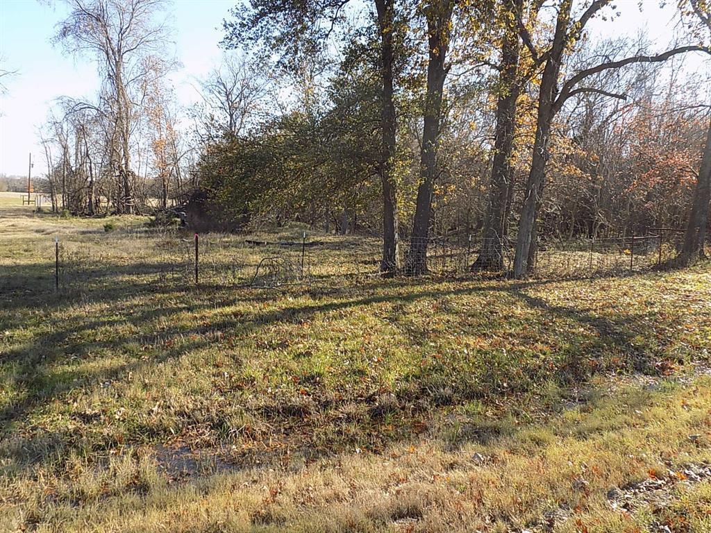 Tbd F M Tbd F M 514th Point Point, TX 75472 - Photo 17 of 29 a view of outdoor space with trees