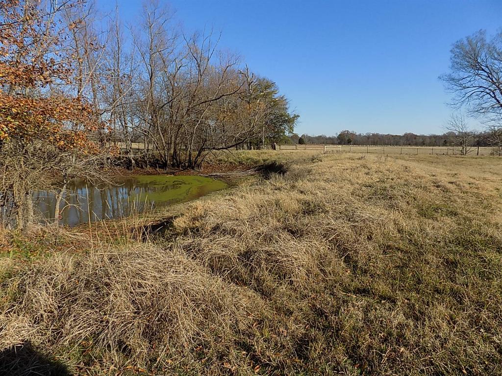Tbd F M Tbd F M 514th Point Point, TX 75472 - Photo 21 of 29 a view of lake view