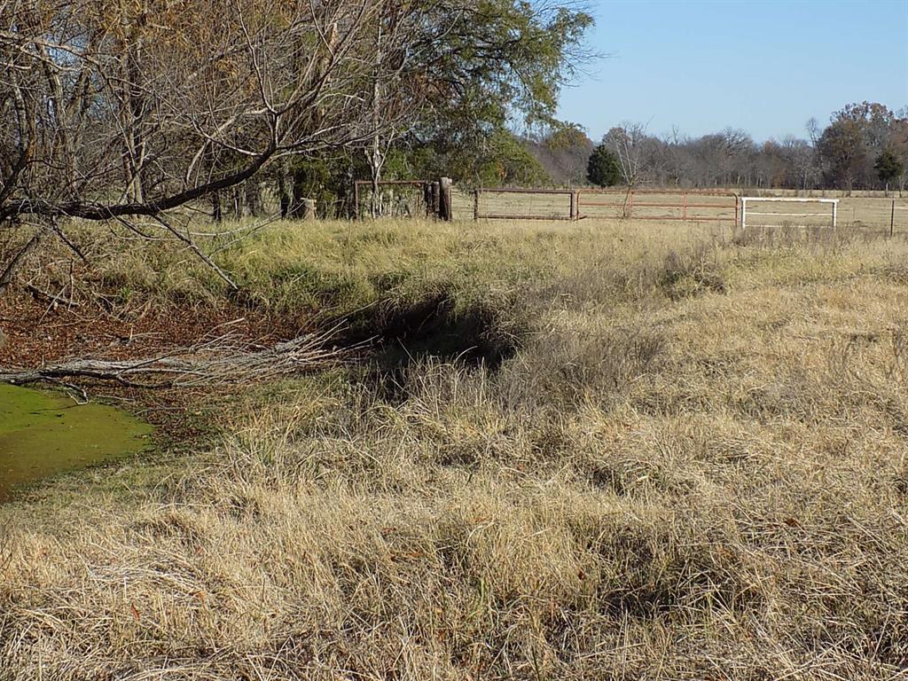 Tbd F M Tbd F M 514th Point Point, TX 75472 - Photo 23 of 29 a view of a yard with a tree
