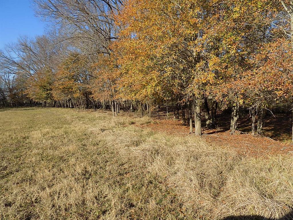 Tbd F M Tbd F M 514th Point Point, TX 75472 - Photo 24 of 29 a backyard of a house with large trees