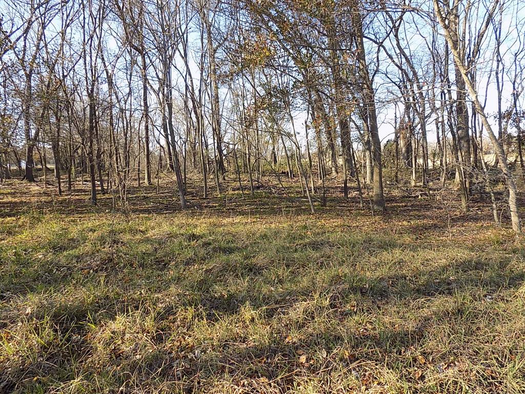 Tbd F M Tbd F M 514th Point Point, TX 75472 - Photo 25 of 29 a view of dirt yard with a trees