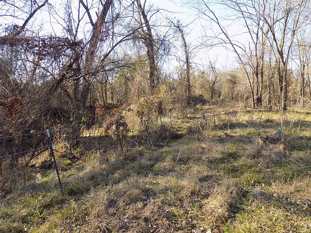 Tbd F M Tbd F M 514th Point Point, TX 75472 - Photo 26 of 29 a view of a yard with trees