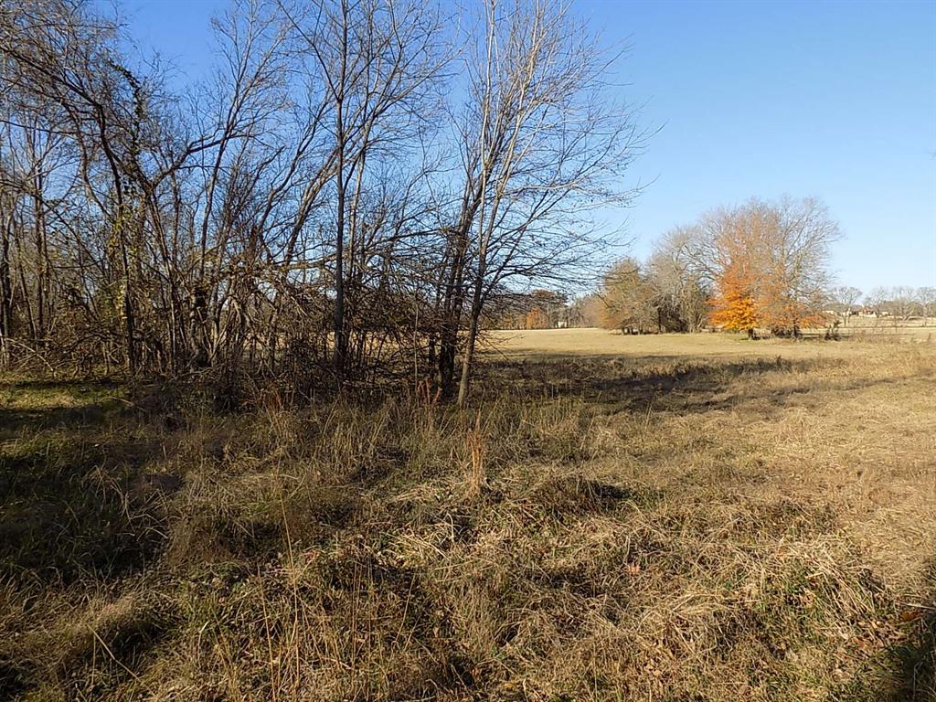 Tbd F M Tbd F M 514th Point Point, TX 75472 - Photo 27 of 29 a view of beach and lake view