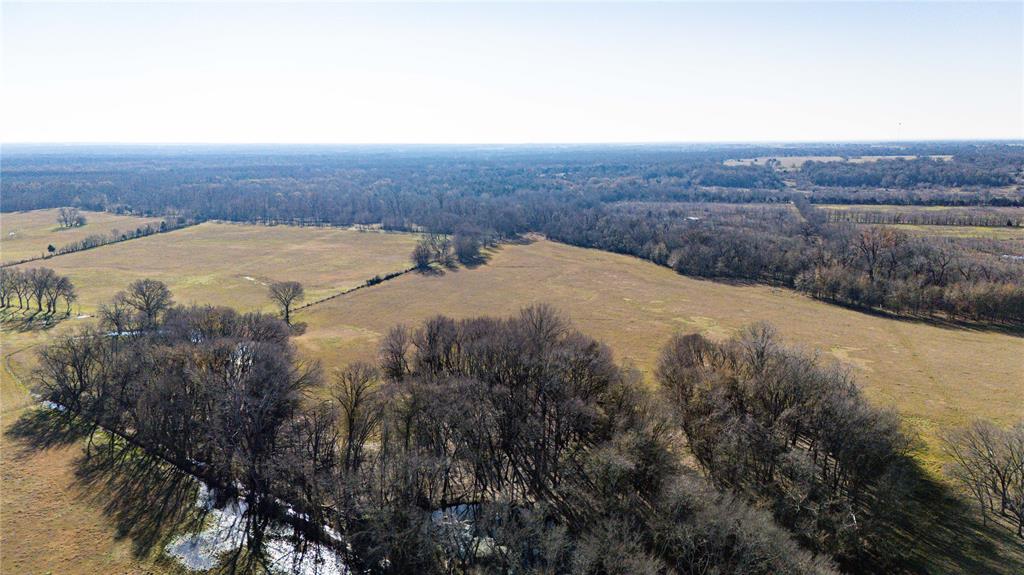 Tbd F M Tbd F M 514th Point Point, TX 75472 - Photo 5 of 29 a view of a dry yard with green space