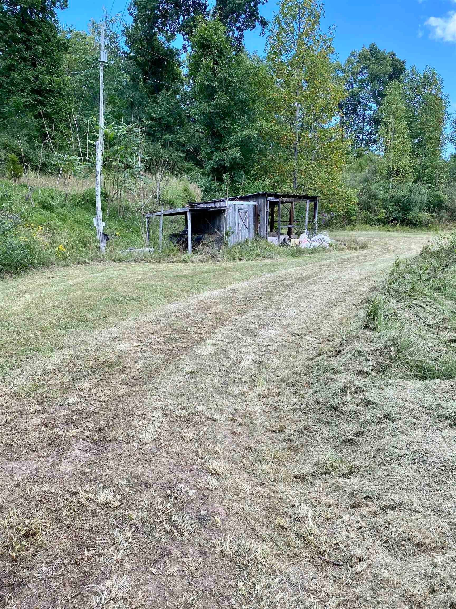 Gallery Image 7
