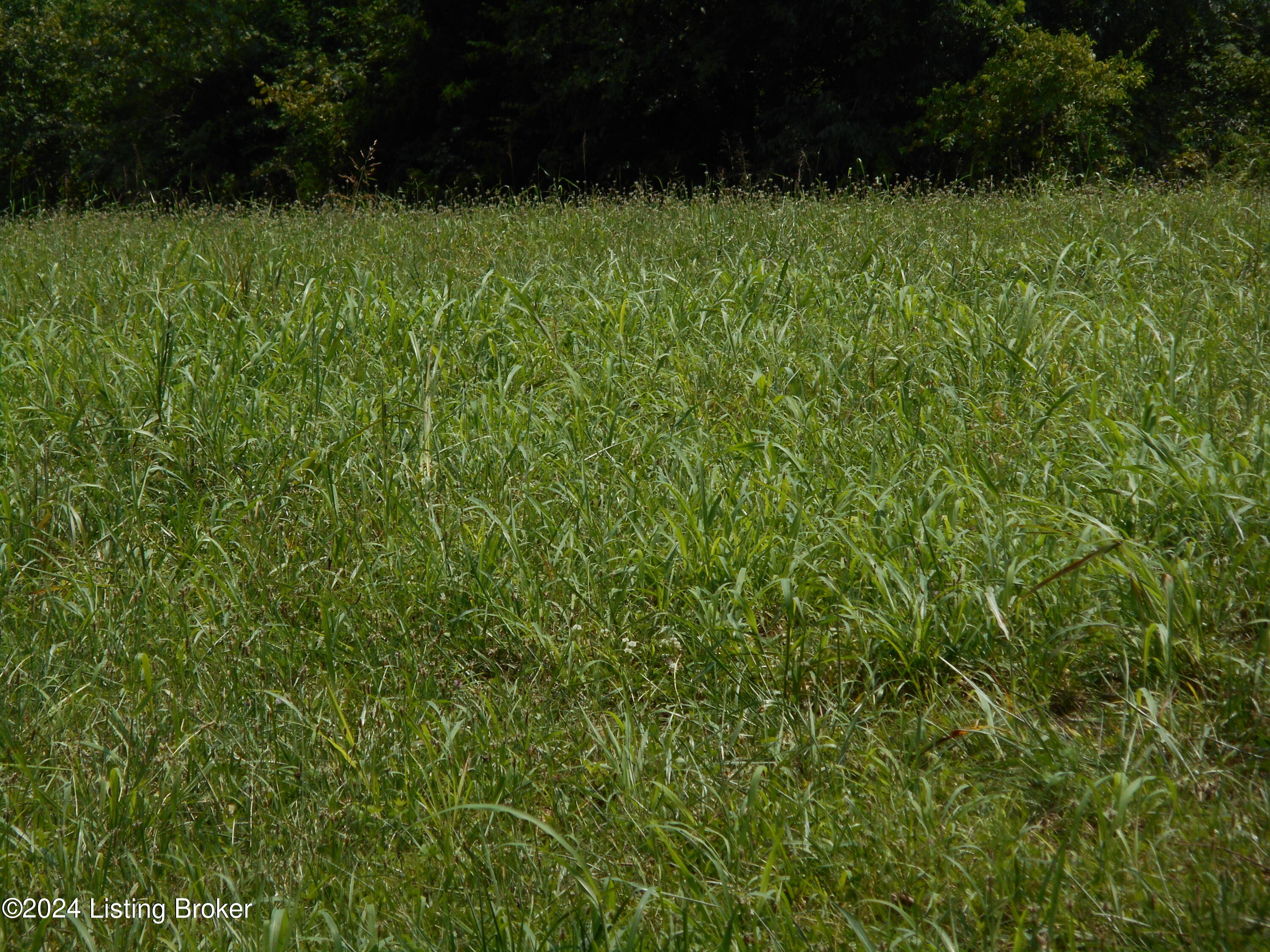 1 Hickory Ridge Road Mount Eden, KY 40046 - Photo 4 of 4 DSCN4629