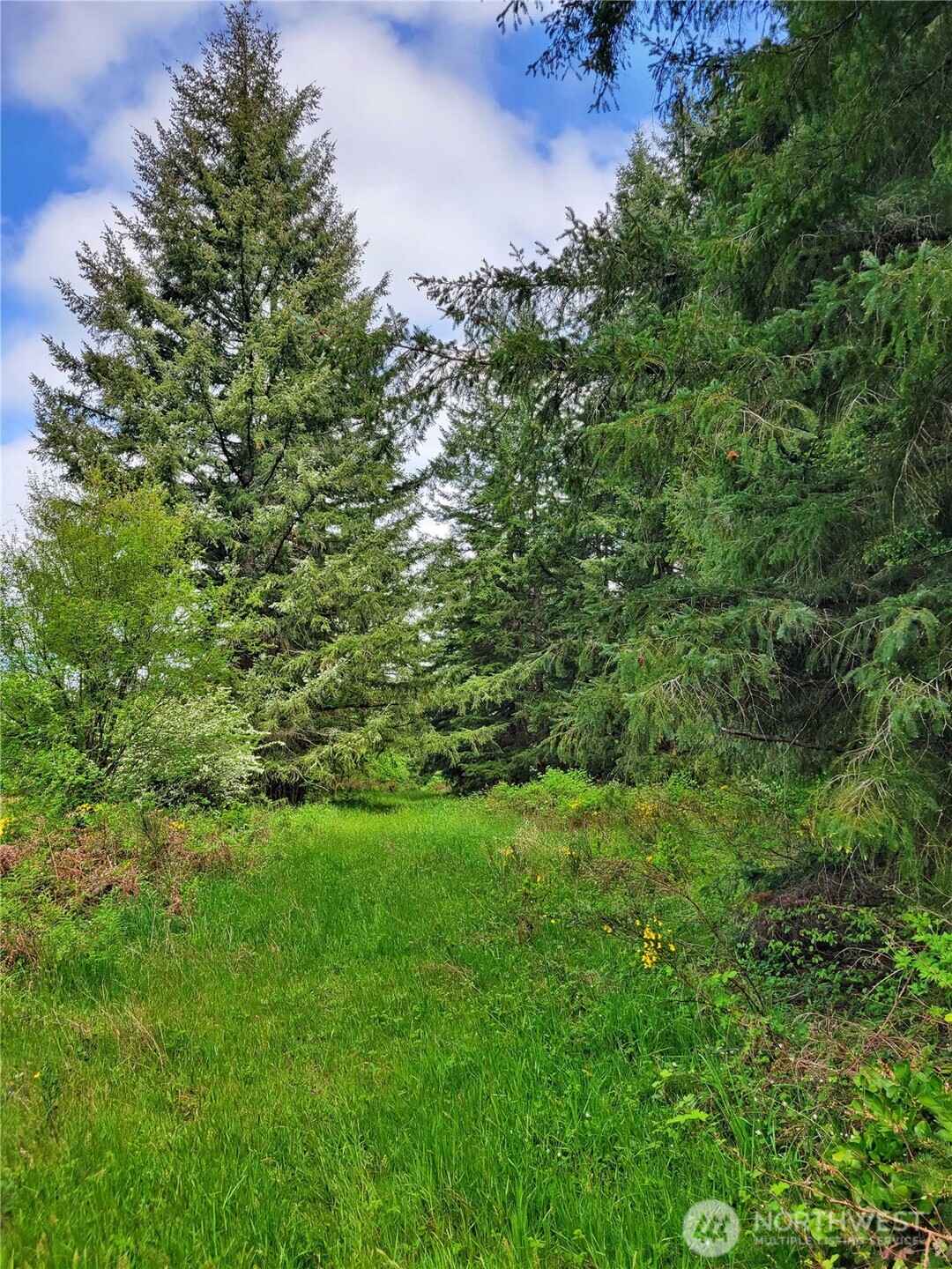 213 Sommerville Road Chehalis, WA 98532 - Photo 26 of 32 Gallery Image 26