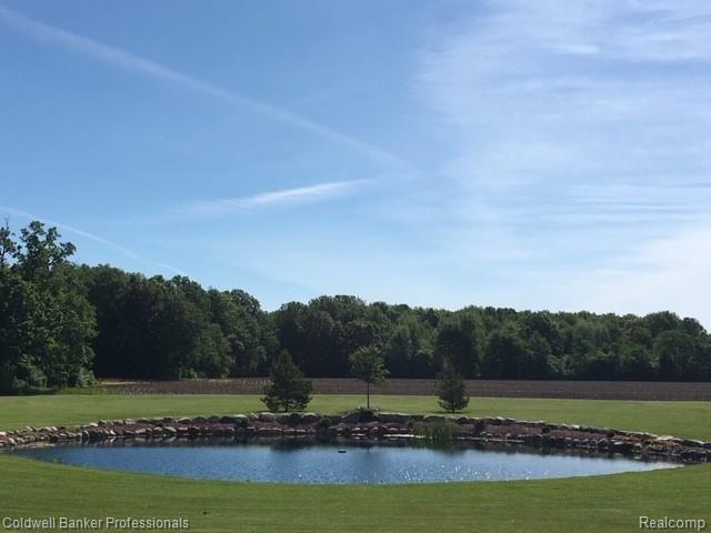 8281 Van Vleet Road Gaines, MI 48436 - Photo 28 of 37 IMG_9846.JPG