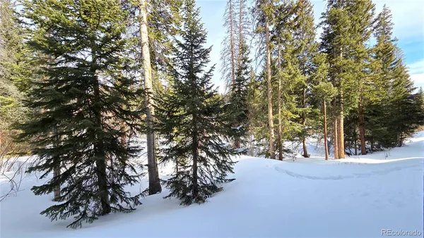 a view of road and trees