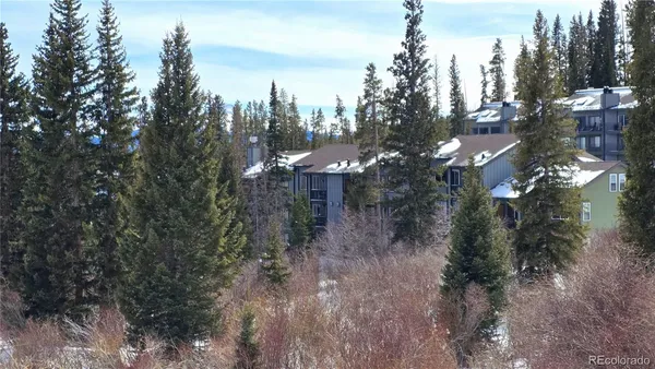a backyard of a house with lots of trees