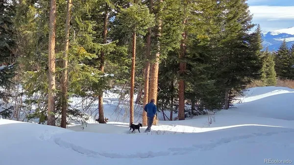 a view of outdoor space and basketball court