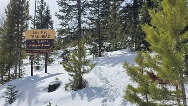 a view of outdoor space and yard