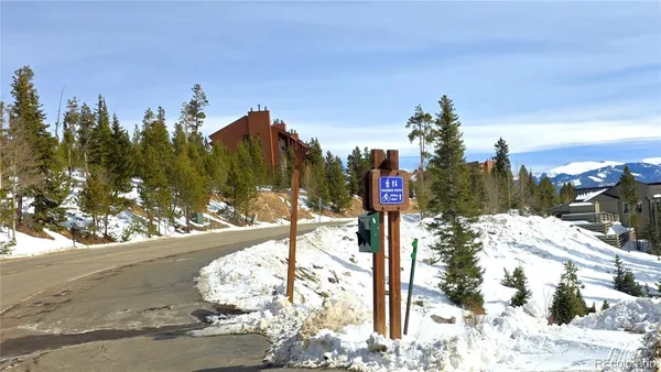 a view of a grassy field with an trees