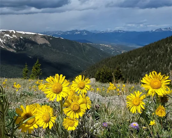 $2,700 | 10000 Ryan Gulch Road, Unit 114, Silverthorne, CO 80498