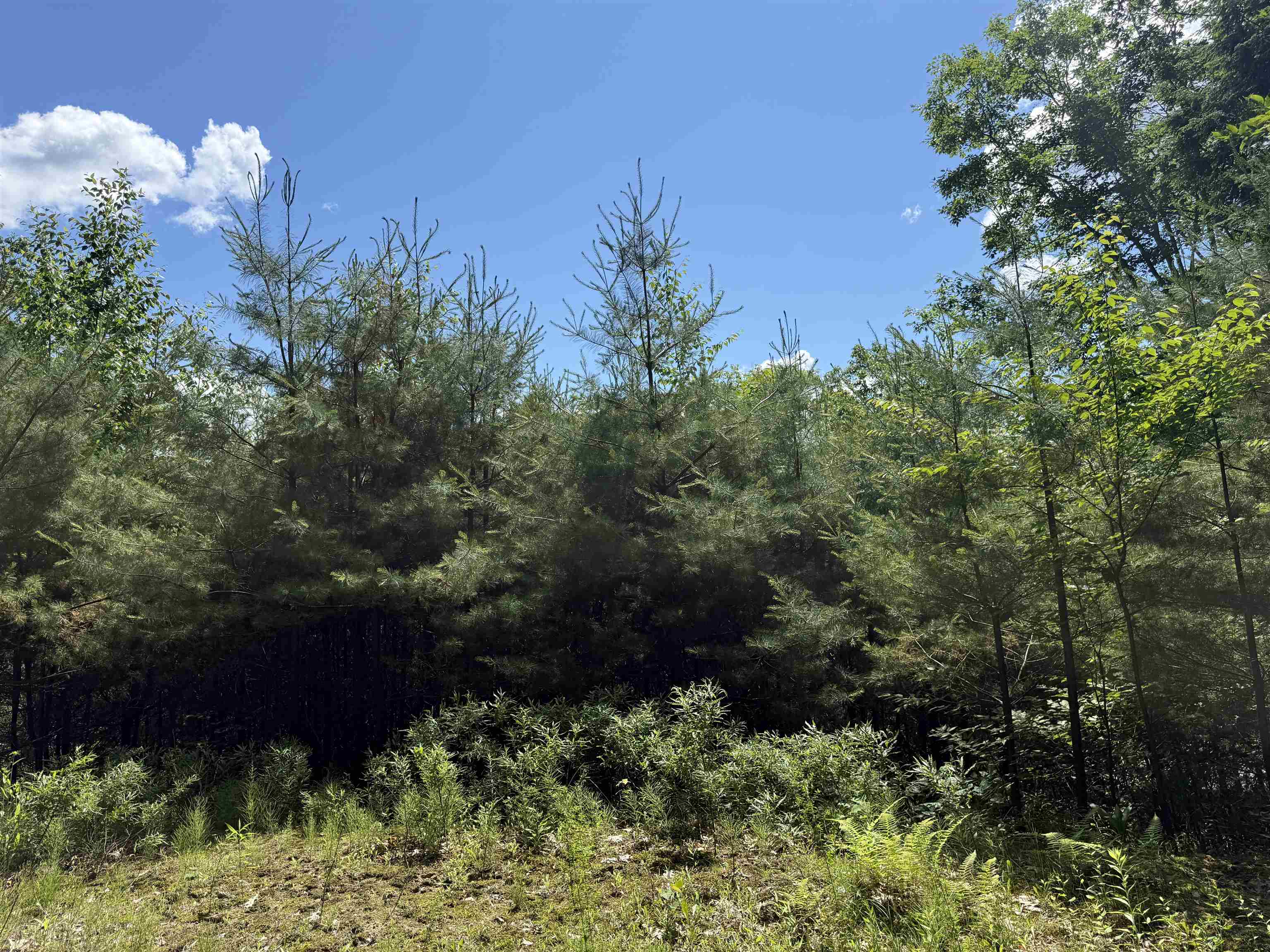 175 Sunset Rock Road Lebanon, NH 03766 - Photo 17 of 28