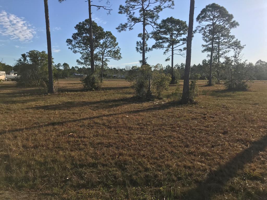 4 Cape Plantation Road Port St. Joe, FL 32456 - Photo 4 of 9