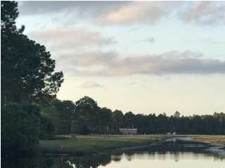 4 Cape Plantation Road Port St. Joe, FL 32456 - Photo 8 of 9