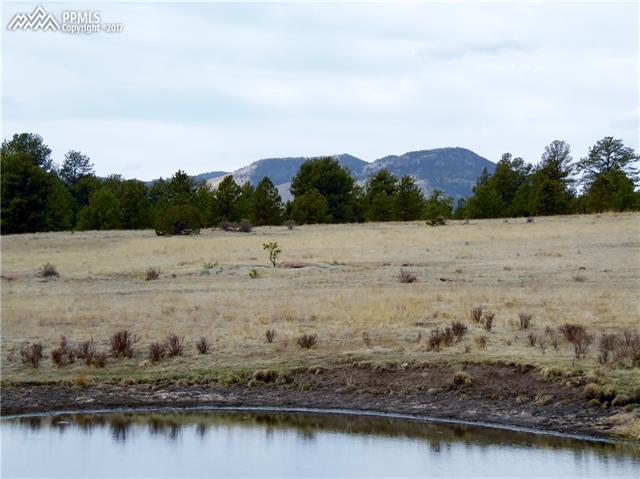 52 Doe Valley Road Guffey, CO 80820 - Photo 9 of 20 Gallery Image 9