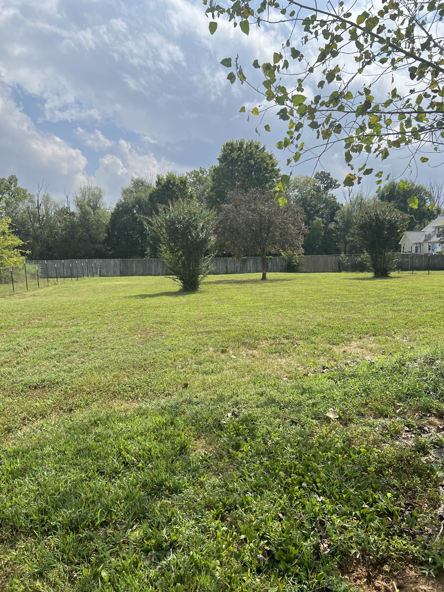 4264 Port Royal Road Spring Hill, TN 37174 - Photo 14 of 14 a view of outdoor space and yard