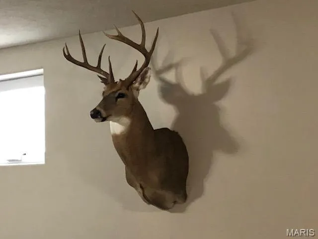 $1,200,000 | 2091 Frene Creek Road, Hermann, MO 65041