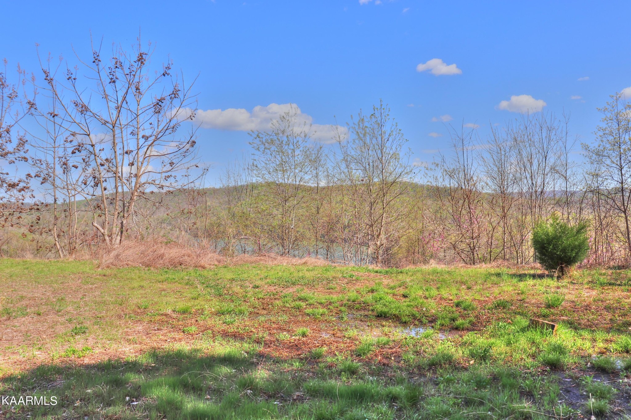 873 Clearwater Road New Tazewell, TN 37825 - Photo 21 of 38