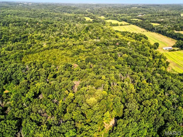 $189,000 | 28 Kelemen Farms West, Dittmer, MO 63023