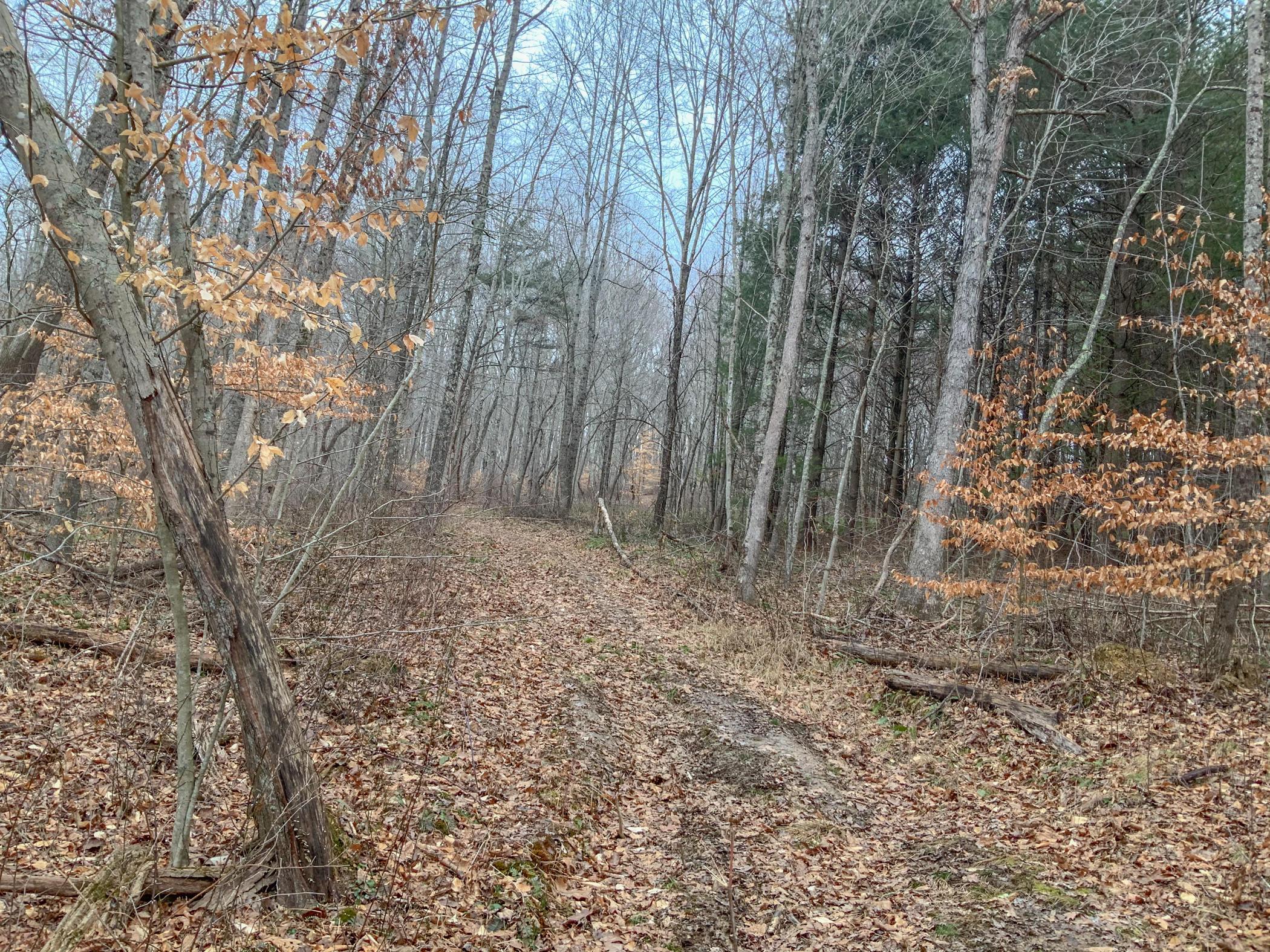 0 Mash Hill Road McArthur, OH 45651 - Photo 11 of 21