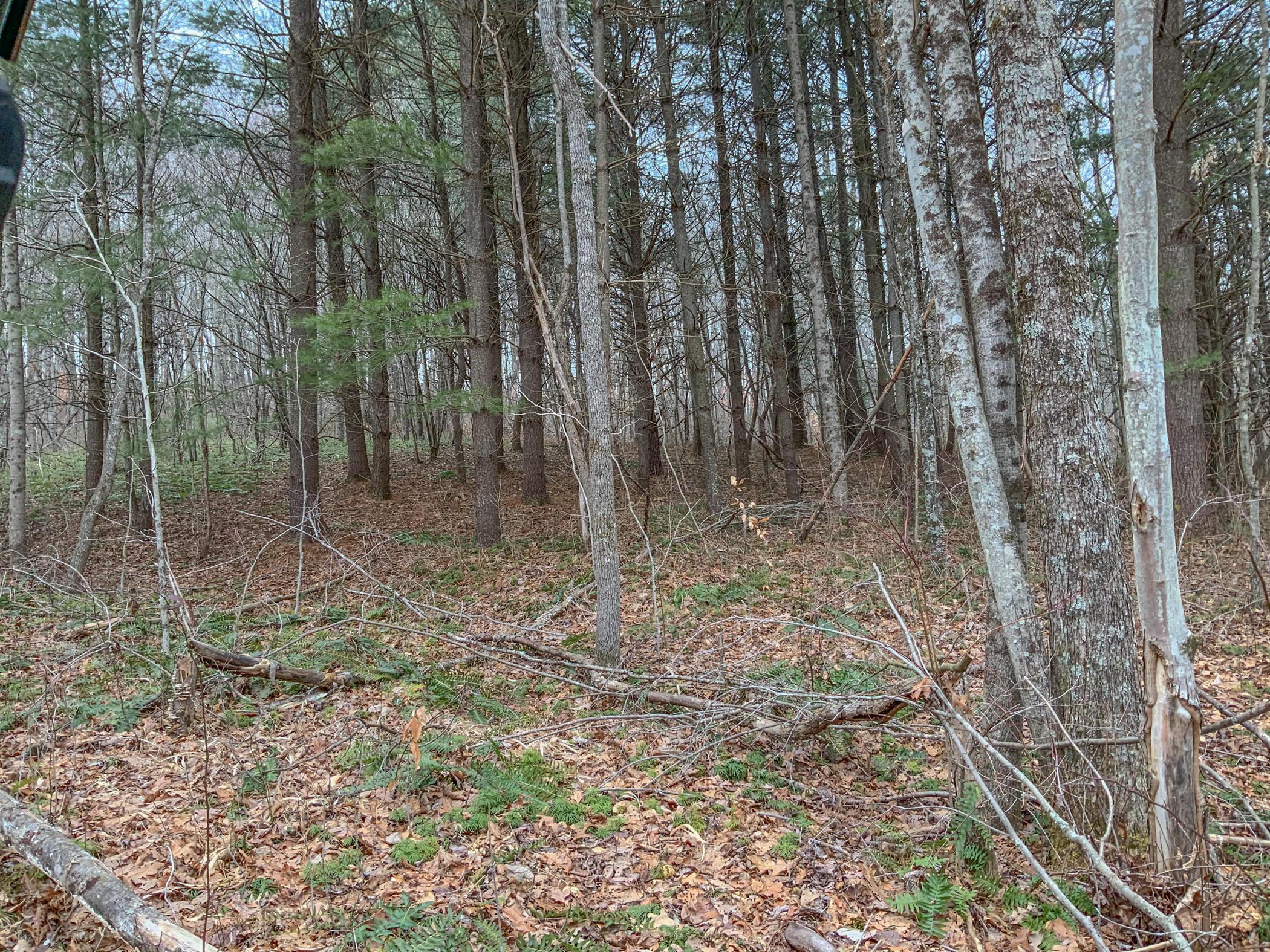 0 Mash Hill Road McArthur, OH 45651 - Photo 12 of 21