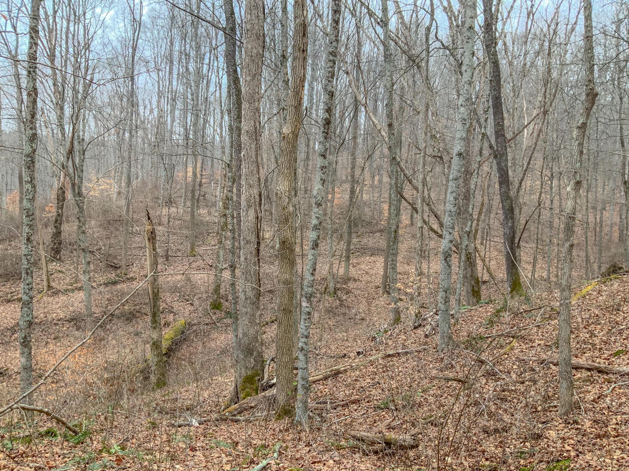 0 Mash Hill Road McArthur, OH 45651 - Photo 14 of 21