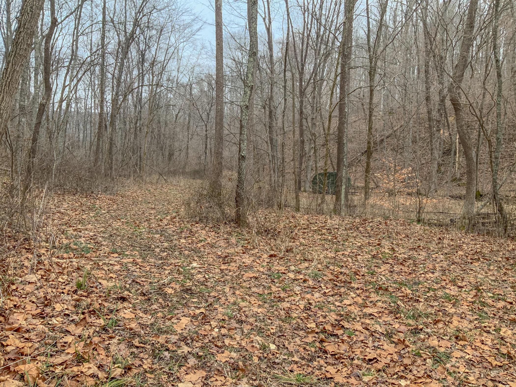 0 Mash Hill Road McArthur, OH 45651 - Photo 16 of 21