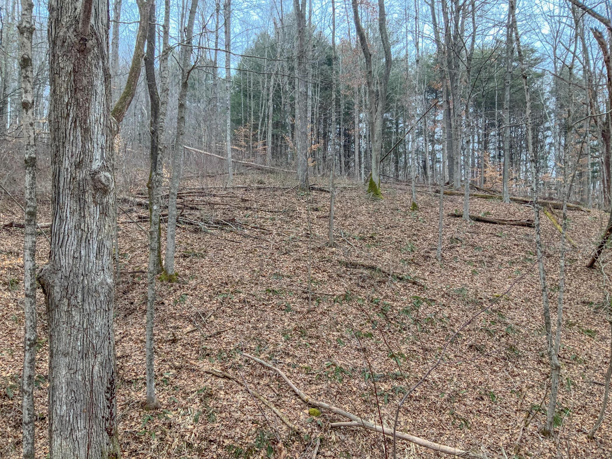 0 Mash Hill Road McArthur, OH 45651 - Photo 17 of 21
