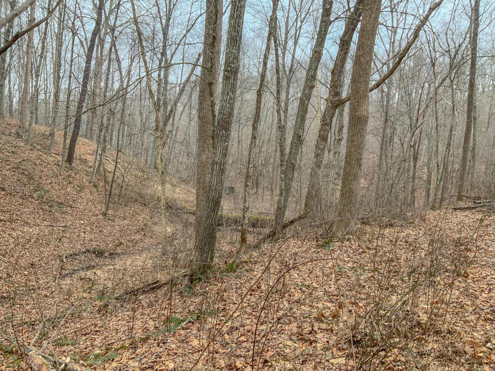 0 Mash Hill Road McArthur, OH 45651 - Photo 18 of 21