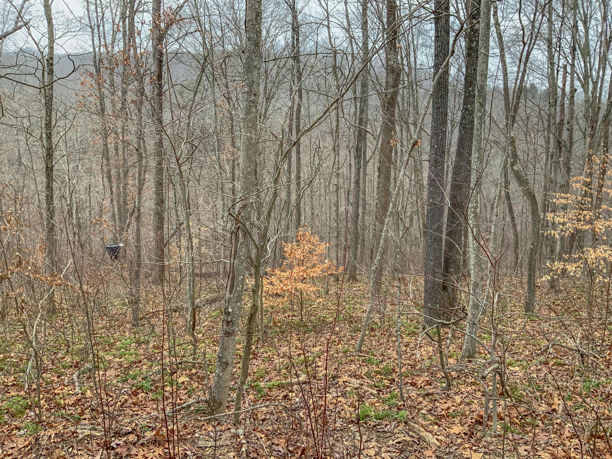 0 Mash Hill Road McArthur, OH 45651 - Photo 19 of 21