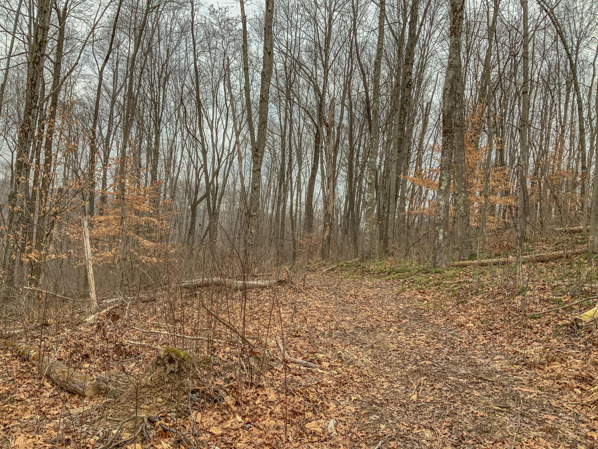 0 Mash Hill Road McArthur, OH 45651 - Photo 20 of 21