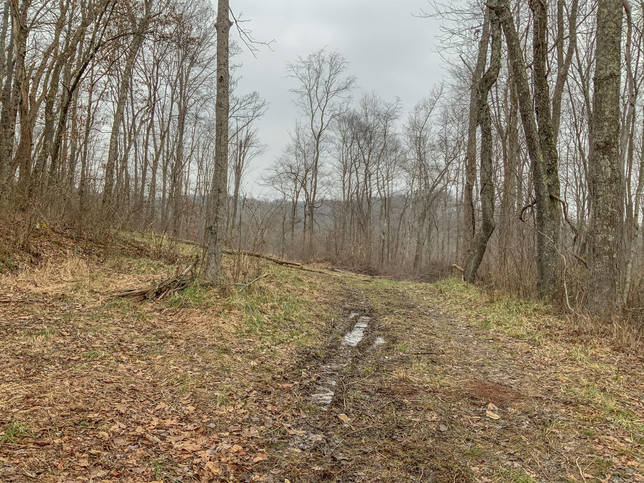 0 Mash Hill Road McArthur, OH 45651 - Photo 2 of 21