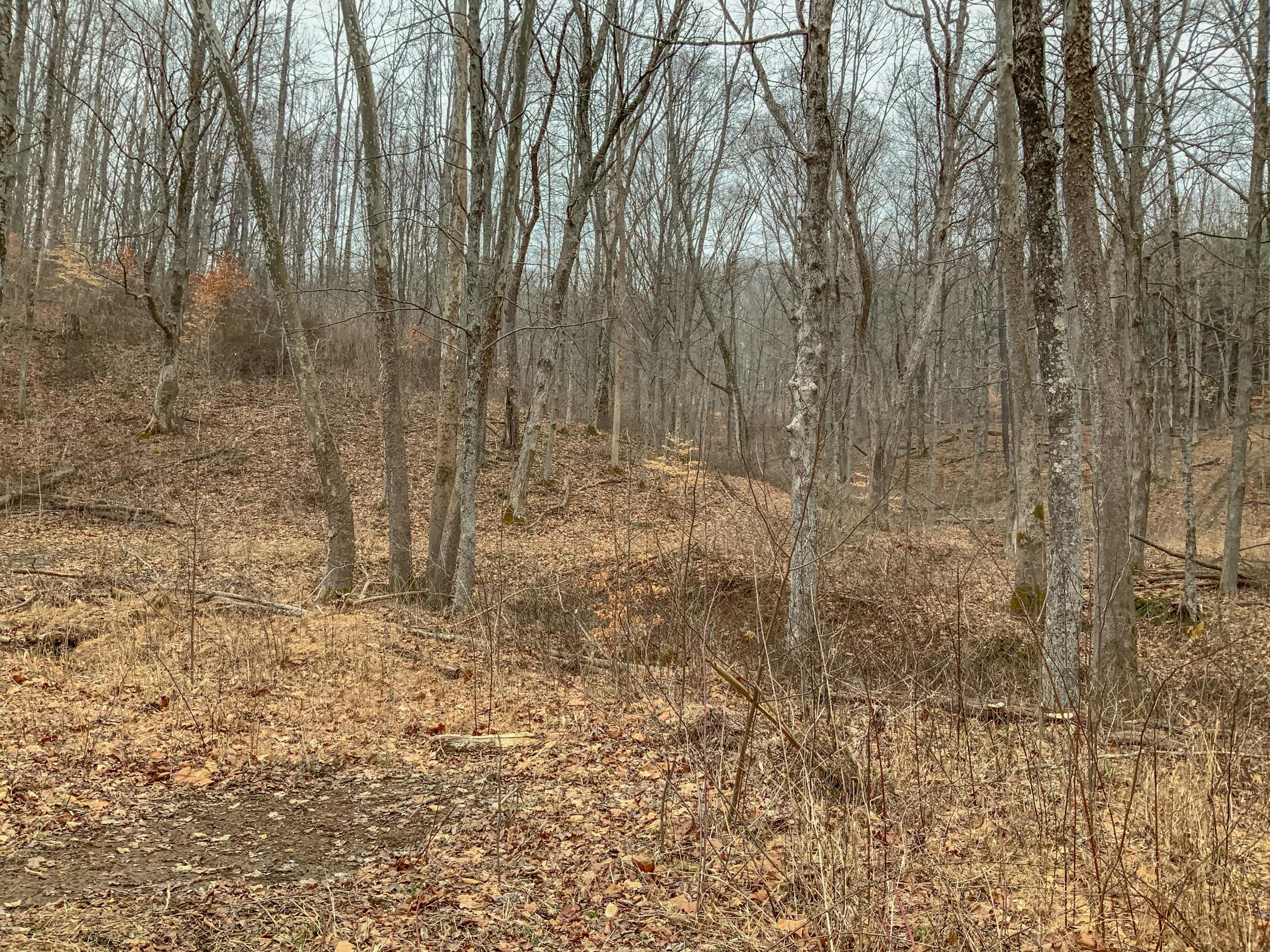 0 Mash Hill Road McArthur, OH 45651 - Photo 7 of 21