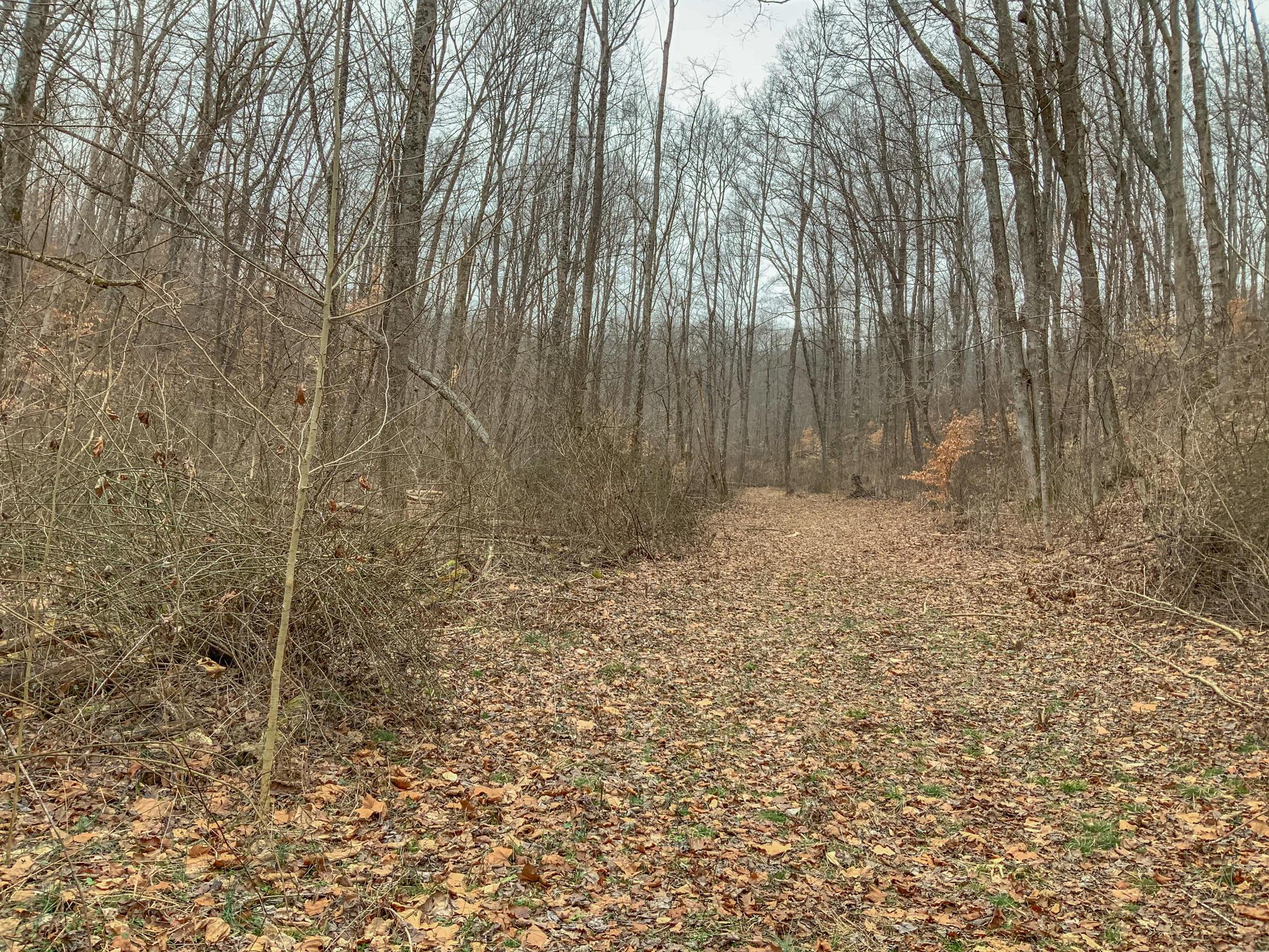 0 Mash Hill Road McArthur, OH 45651 - Photo 8 of 21
