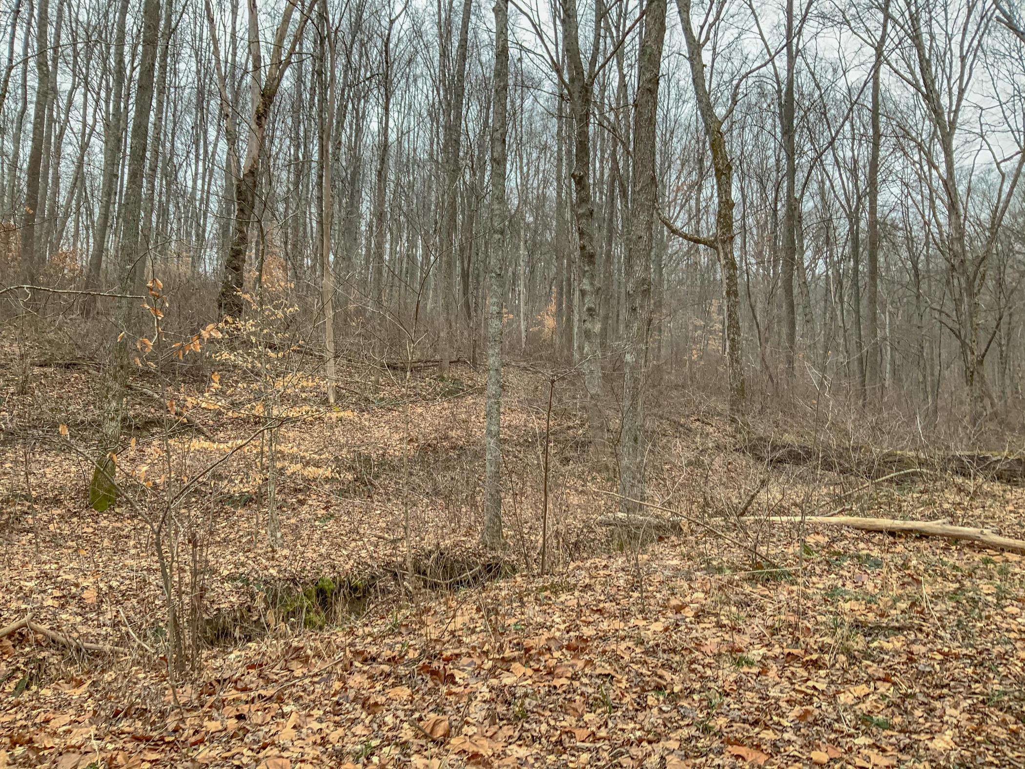 0 Mash Hill Road McArthur, OH 45651 - Photo 10 of 21